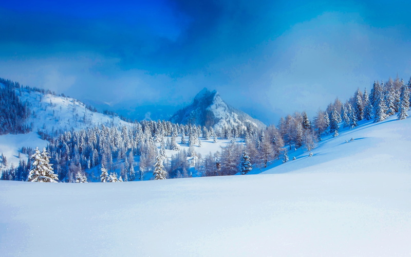 photo, snowdrift, austria, winter, trees, snow, hd, forest, 1080P, landscape