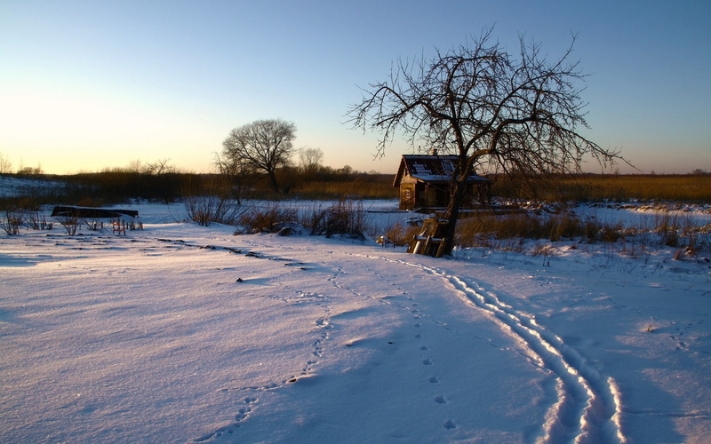 Snowdrifts, covering, Decline, plant, cold temperature, Traces, no people, beauty in nature, winter, Lodge, sign, nature, tranquility, bare tree, sunset