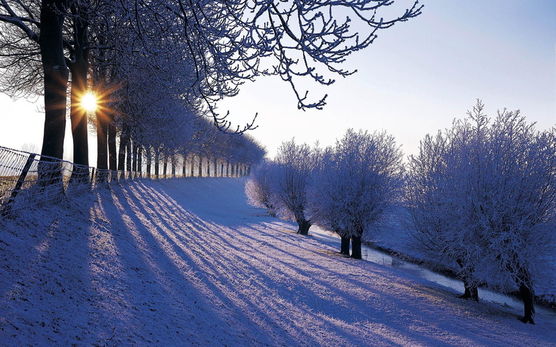 wonderl, shadows, winter, nature and landscapes, wonderland, wonderful, trees, 1080P, covered, snow