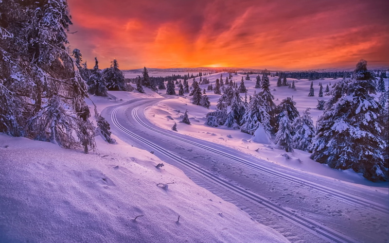 Sunset, Norway, Road, Winter, 1080P, Trees, Snow