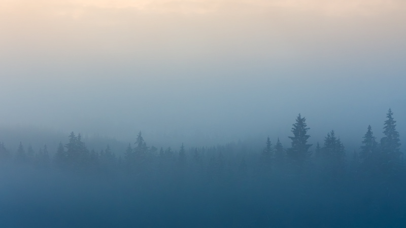 tranquil scene, landscape, idyllic, environment, 5K, blue, tree, day, nature, mist, beauty in nature, shapes, growth, foggy, fog, sky, plant, forest, trees