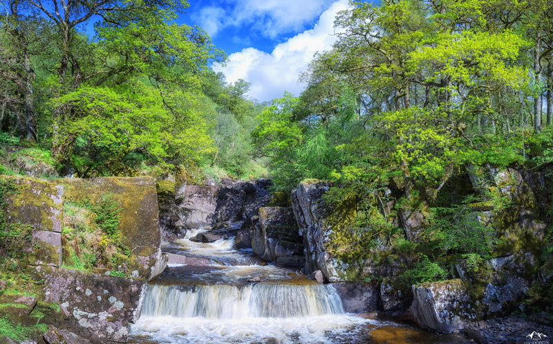 beautiful, callander, scenics - nature, Seasons, plant, bracklinnwaterfall, bracklinn, 8K, Sunny, Outdoors, power in nature, Europe, Landscape, forest