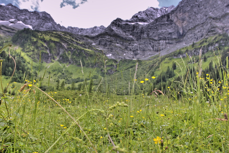 growth, mountain, engalm, environment, mountain range, field, plant, non-urban scene, grass meadow, formation, 5K, hiking, tranquil scene, game grass