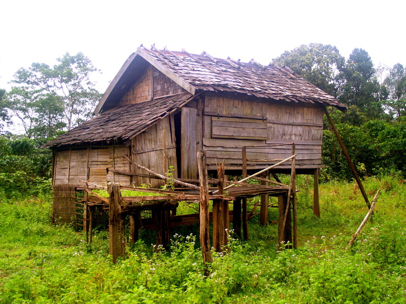 nature, landscape, plant, green color, outdoors, house, sky, old, field, stilt houses, day, no people, wood - material, residential district, crannog, cabin