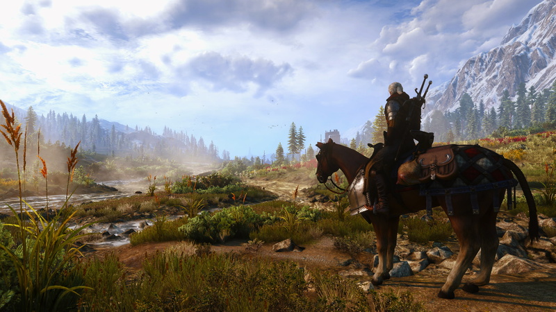 livestock, animal wildlife, outdoors, pets, 1080P, land, domestic animals, horse, sky, plant, field, tree, activity, nature, The Witcher, working animal