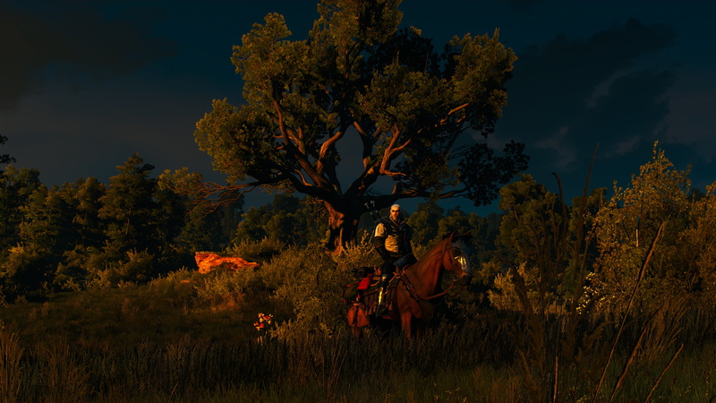 Velen, 4K, The Witcher 3: Wild Hunt, The Witcher, Geralt of Rivia, Ard Skellige