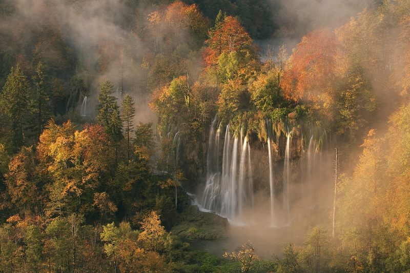 color Image, autumn collection, beauty In Nature, change, woodland, falling, green Color, orange Color, no People, rainforest, long exposure, land, park - Man Made Space