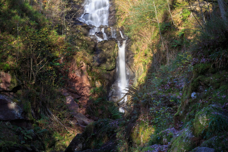 vegetation, bush, tree, rock, 4K, the lodge - forest visitor centre queen elizabeth forest park, shoreline, long exposure, flowing water, creek, scenery