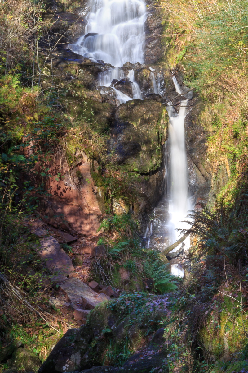 power in nature, united kingdom, blurred motion, stream, slate, aberfoyle, rock, rainforest, forest, solid, vegetation, animal, flowing, scenics - nature