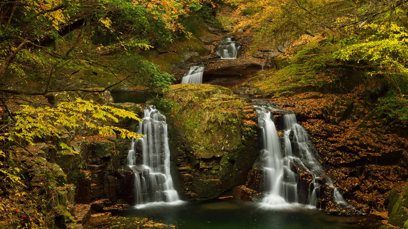 8K, nature backgrounds images 7680x4320