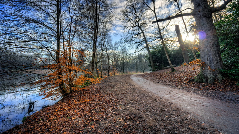 nature backgrounds images 7680x4320, 8K