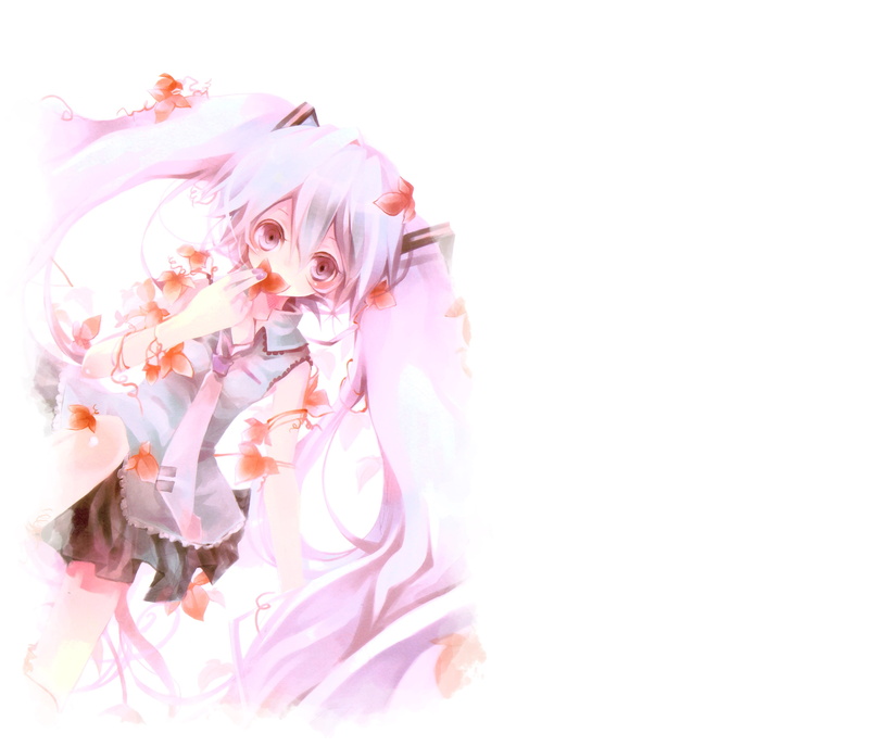 4K, no people, vulnerability, flower head, flowering plant, vocaloid 4k high resolution mac, indoors, event, plant, freshness, softness, copy space, studio shot