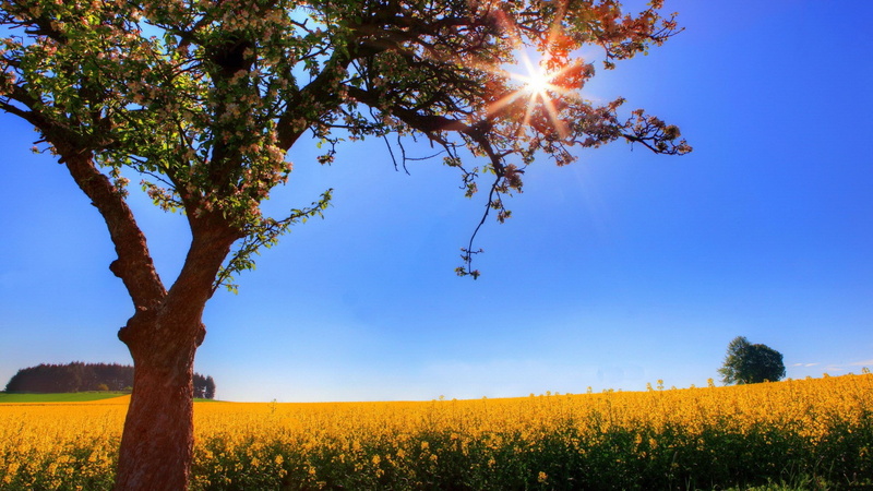 widescreen high resolution nature hd 1920x1080, 1080P
