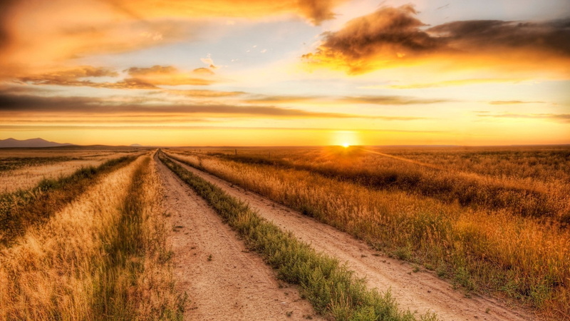 tranquil scene, field, beauty in nature, the way forward, grass, nature, outdoors, sun, idyllic, plant, land, widescreen high resolution nature hd 1920x1080