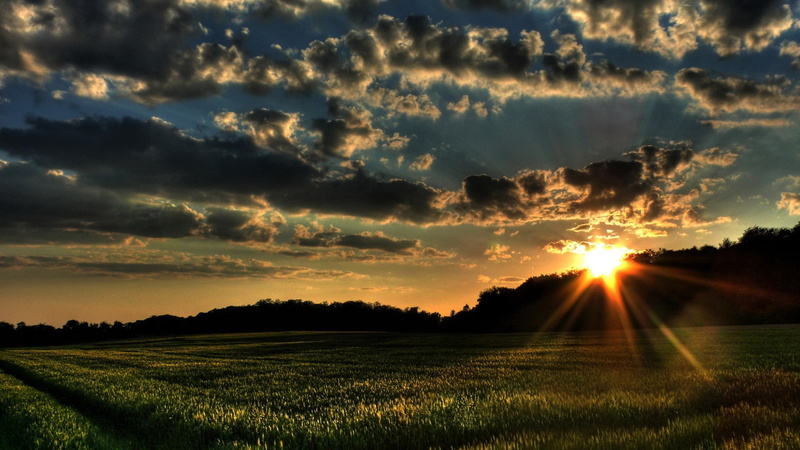 tranquil scene, sunbeam, sun, environment, landscape, no people, field, lens flare, idyllic, outdoors, rural scene, nature, plant, orange color, land, widescreen high resolution nature hd 1920x1080