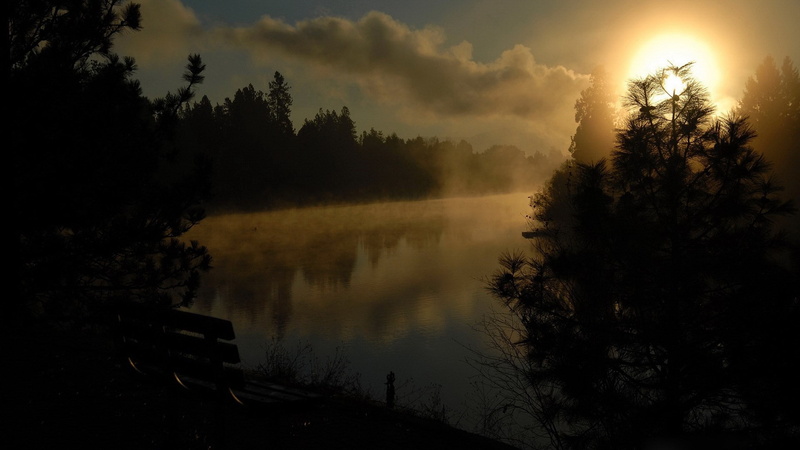 scenics - nature, lake, tranquility, nature, sunset, sky, silhouette, non-urban scene, idyllic, cloud - sky, land, tranquil scene, reflection, forest, water