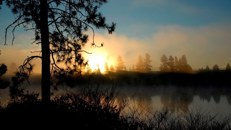 scenics - nature, tranquil scene, water, orange color, idyllic, nature, no people, sunset, non-urban scene, sun, sunlight, outdoors, silhouette, sky, plant