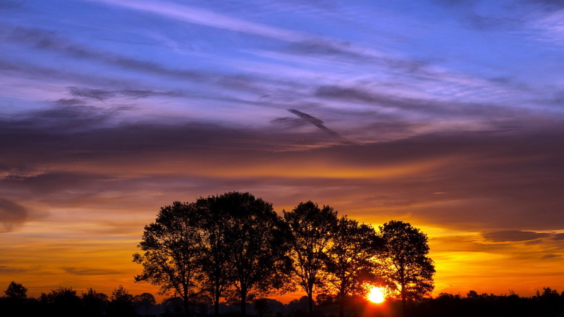 widescreen high resolution nature hd 1920x1080, cloud - sky, 1080P, dusk, beauty in nature, environment, tree, outdoors, growth, low angle view, romantic sky