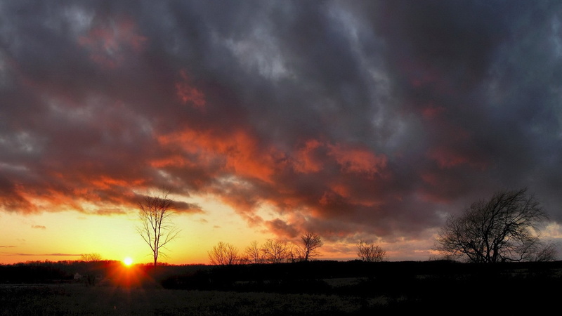 1080P, no people, power in nature, sunset, awe, beauty in nature, cloud - sky, outdoors, tranquil scene, plant, sky, widescreen high resolution nature hd 1920x1080