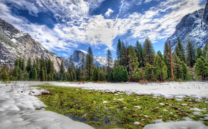 day, sky, tourism, nature, plant, green Color, vacations, wilderness Area, hdr, ranges, blue, banff National Park, mountain Peak, no People, rock - Object