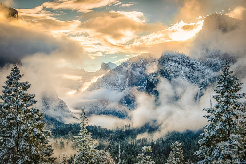 1080P, Best s, Yosemite National Park, green, park, pine, s, yosemite, trees, Sierra Nevada mountains, national, California
