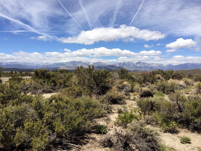 Sierra Nevada, scenics - nature, cloudy, nature, non-urban scene, tree, environment, western, semi-arid, green, growth, 2K, Desert, no people, California