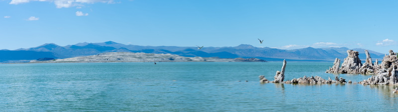 reflection, water, usa, park, beauty in nature, national park, mountain, blue, rock, no people, mountain range, desert, sky, nature, sea, animals in the wild