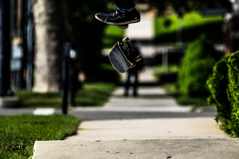 footpath, park - man made space, wheel, shadow, daytime, mid, plant, skate board, stunt, park, outdoors, action, air, transportation, tree, floating, plants