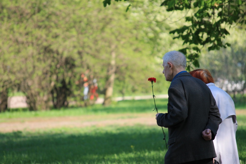 holiday, military parade, males, russia, grass, flower, red, three quarter length, parade, flowers, focus on foreground, man, memorial, nature, day, men