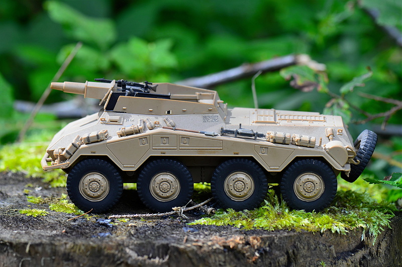 radpanzer, industry, cannon, armored Tank, infantry, nature, green Color, freight transportation, vehicle, side view, machine Gun, Vehicle, day, Military
