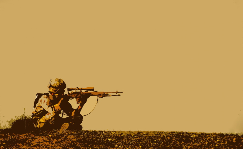 brown, land, military, armed forces, holding, Army, nature, security, 2K, side view, field, government, hunting, gun, accuracy, copy space, aiming, one person