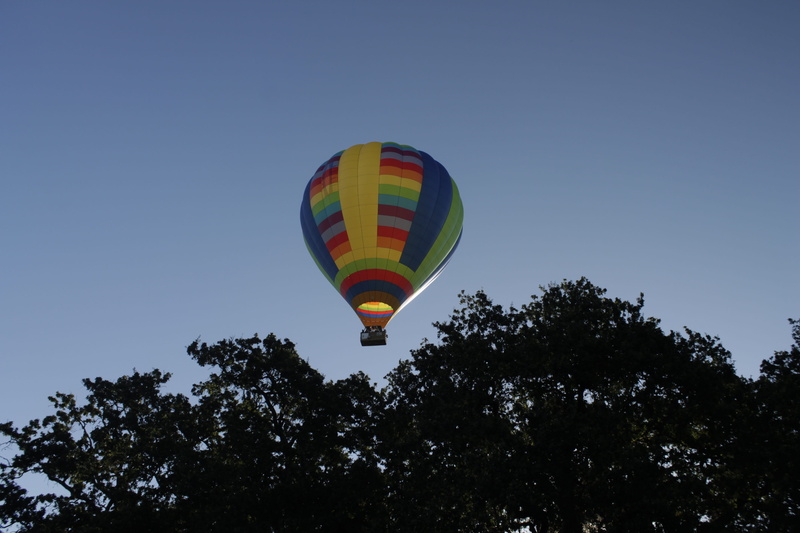 bright, outdoors, outdoor, goreme, air Vehicle, Balloons, recreational Pursuit, fly, transportation, mid-air, basket, plant, balloon, hot, 4K, summer