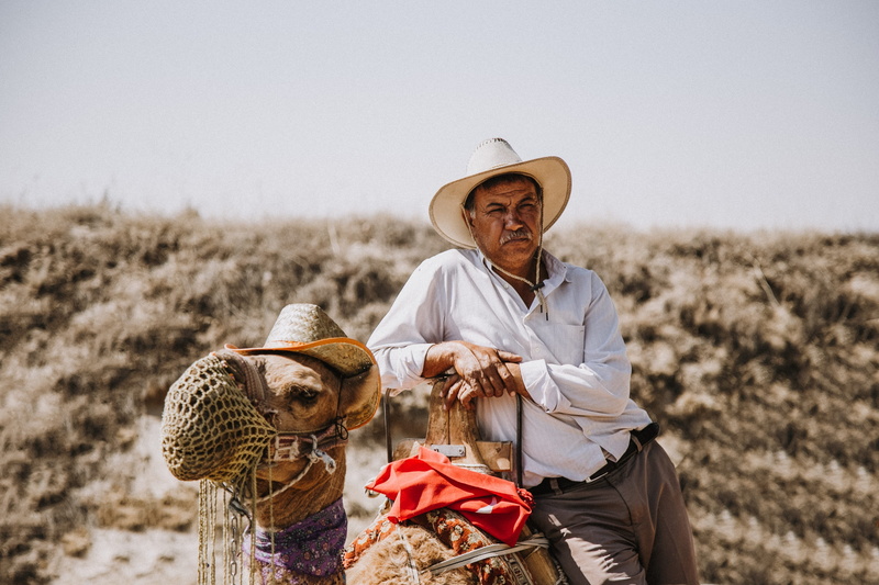 hot, agriculture, land, old man, sad, 4K, face, mysterious, men, domestic, hat, outdoors, nevşehir, urgup, cowboy hat, arid, domestic animals, mammal