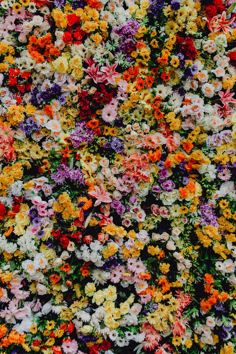 flower head, Saint Anthony, museu, high angle view, festas de lisboa, petal, backgrounds, no people, various, santo antonio, background, santo, nature