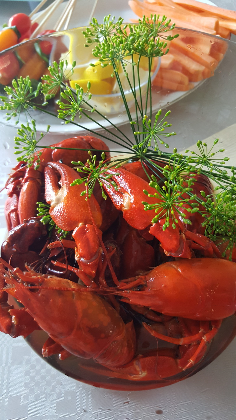 lobster, healthy eating, seafood, indoors, high angle view, 5K, food and drink, herb, table, still life, plate, food, fruit, vegetable, focus on foreground