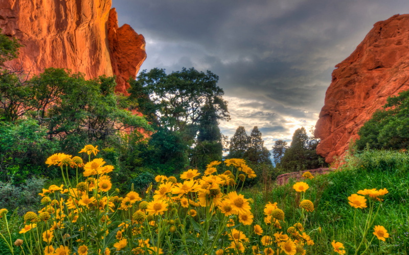 desktop, flowers, gods, screen, colorado, 1080P, full, garden, spring
