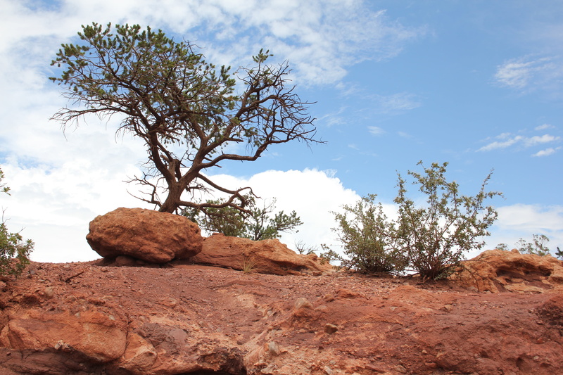 cloud - sky, rock formation, physical geography, outdoors, nature, beauty in nature, rock - object, stone, climate, scenics - nature, tranquil scene, land