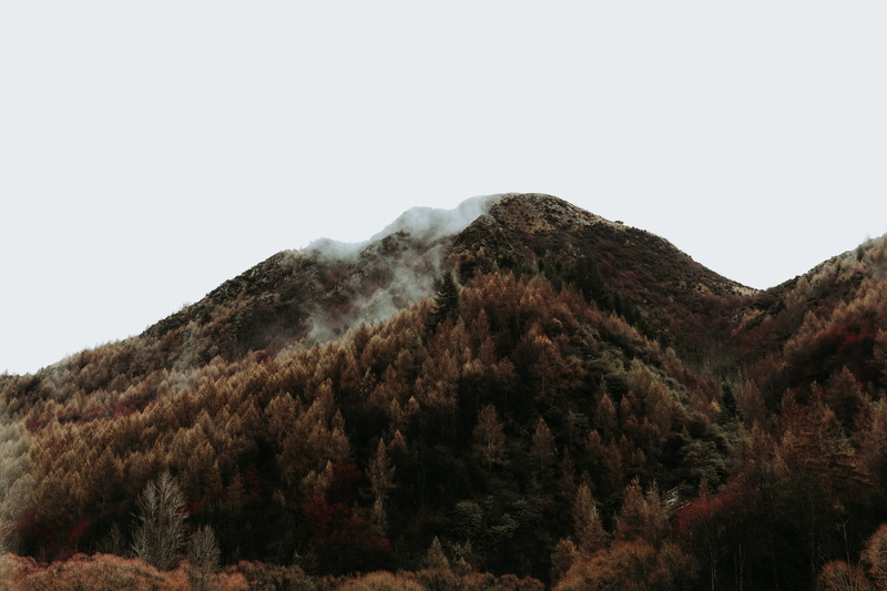 beauty in nature, idyllic, scenics - nature, mistymountain, remote, landscape, arrowtown, pinetrees, clear sky, mountain range, 5K, foggy, redpine, nature