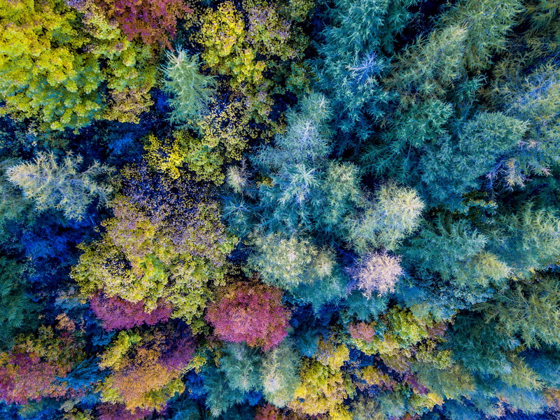art and craft, outdoors, blue, day, paint, still life, trees, autumn, chaos, aerial, craft, no people, splattered, colours, abstract, backgrounds, textured