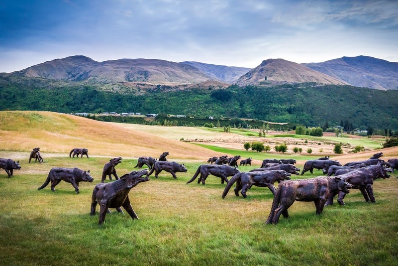 herd, animals in the wild, mountains, mountain range, land, herbivorous, hills golf course, colorful, landscape, animal themes, outdoors, domestic animals