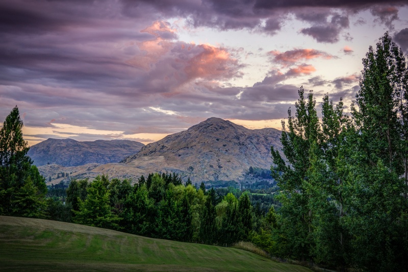 beautiful, new zealand, view, sky, scenics, coniferous tree, growth, grass, nature, environment, land, field, mountain peak, pine woodland, snowcapped mountain