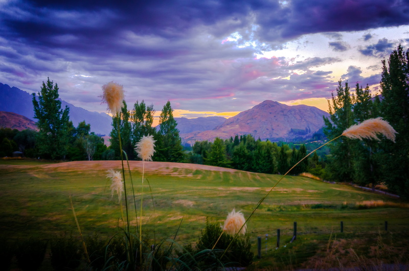 5K, plant, wild, environment, dark, land, scenics - nature, sunset, outdoors, non-urban scene, new zealand, natural, arrowtown, nature, mountain range