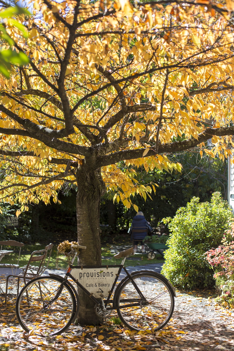 land vehicle, spoke, change, machine, arrowtown, branch, outdoors, new zealand, bike, vehicle, provisions cafe and bakery, transportation, cafe, bicycle