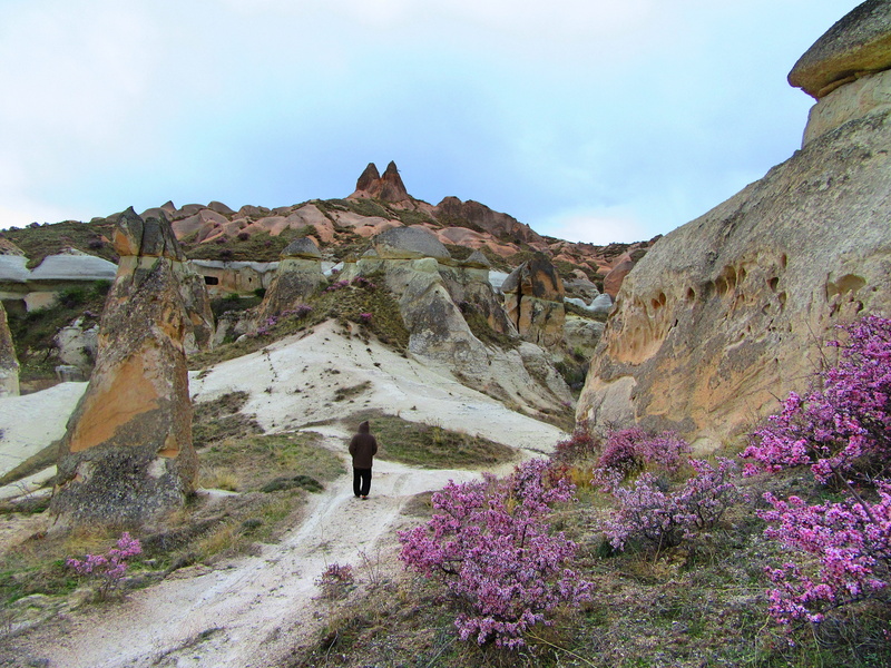 göreme, nature, tranquility, solid, full length, blossom, one person, outdoors, flowering plant, hiking, scenics - nature, activity, lifestyles, mountain