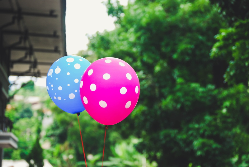 4K, growth, bush, pink, sphere, nature, day, tree, no people, focus on foreground, polka dot, play, close-up, purple, lawn, inflatable, knitting, leaf
