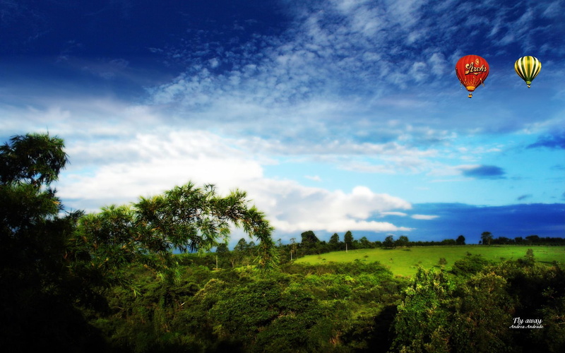 field, green, fly, 3d and abstract, baloons, andrea andrade, away, 1080P, ii
