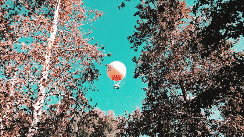 land, nature, growth, sunny, baloon, air, sky, autumn, hot air balloon, sunlight, no people, balloon, day, branch, blue, ball, red, mid-air, close-up, white