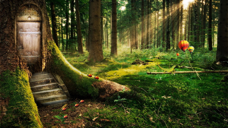 growth, beauty in nature, tree trunk, 1080P, tree, woodland, outdoors, no people, fantasy, door, green color, plant, baloon, day, water, land, nature