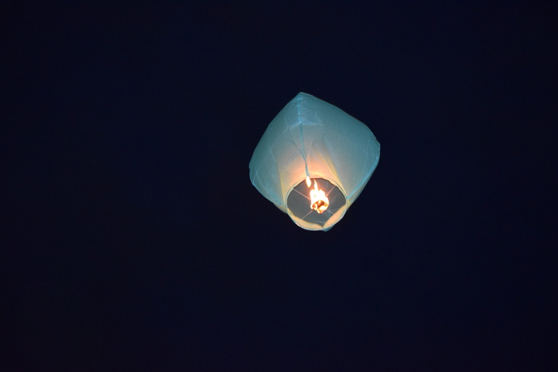 fly, nature, light bulb, no people, single object, electric lamp, electricity, air, hot-air ballooning, dark, baloon, floating, sky, burning, mid-air, lighting equipment