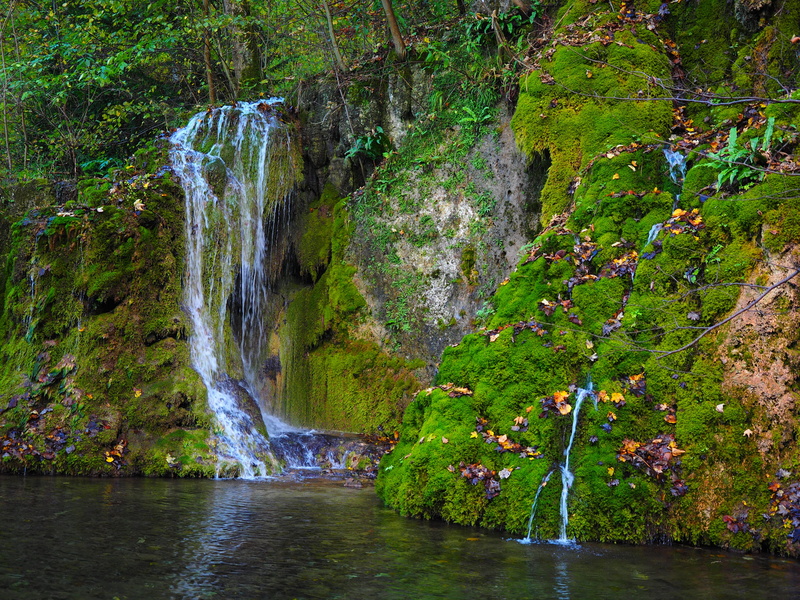 kalktuffberg, non-urban scene, nature, Waterfall, plant, long exposure, green color, river, Water, outdoors, tranquility, scenics, tree, goods steiner waterfalls
